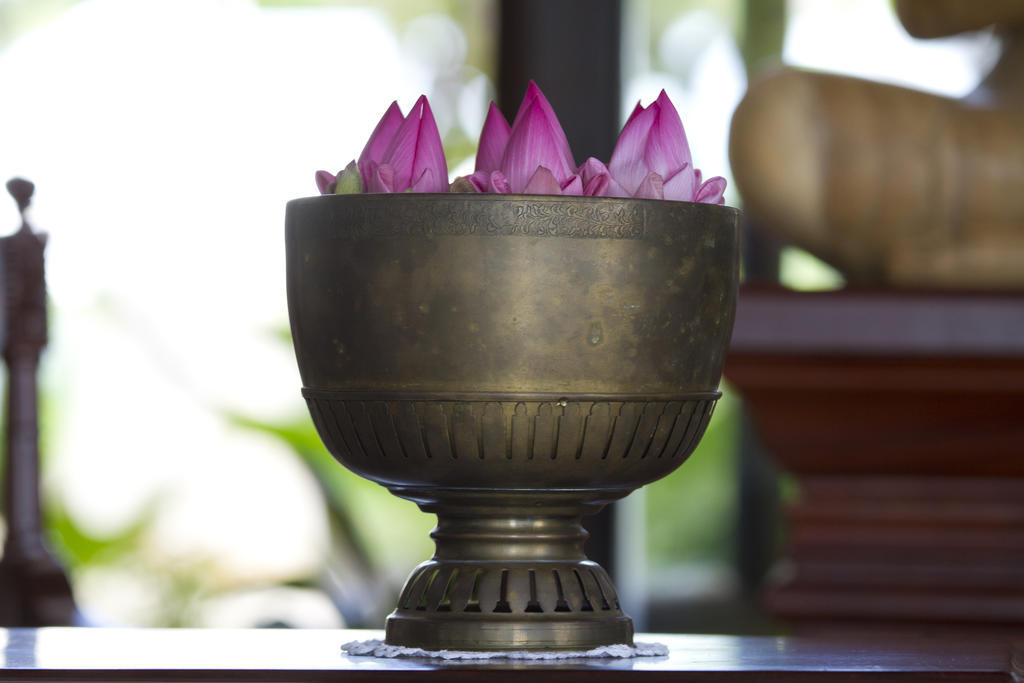 Saem Siemreap Hotel Siem Reap Eksteriør billede